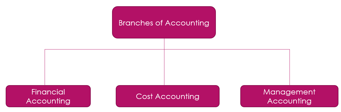 Branches of Accounting